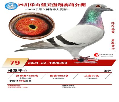 四川藍(lán)天傲翔決賽79名