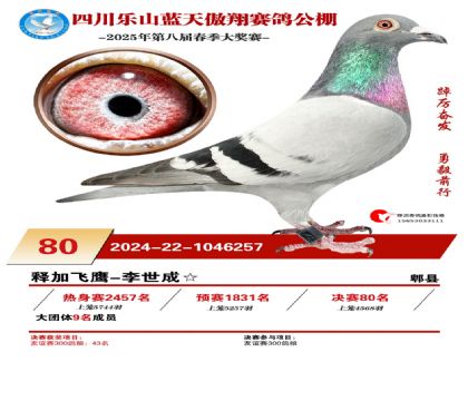 四川藍(lán)天傲翔決賽80名
