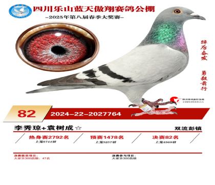 四川藍(lán)天傲翔決賽82名