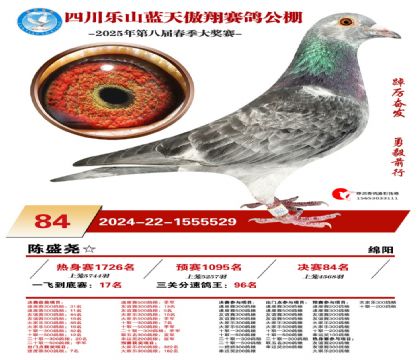 四川藍(lán)天傲翔決賽84名