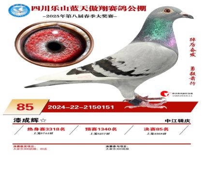 四川藍(lán)天傲翔決賽85名