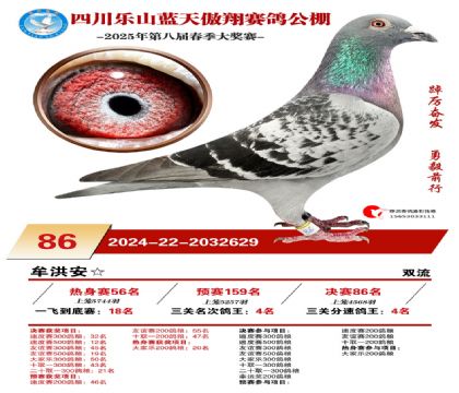 四川藍(lán)天傲翔決賽86名