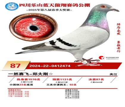 四川藍(lán)天傲翔決賽87名