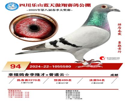 四川藍(lán)天傲翔決賽94名