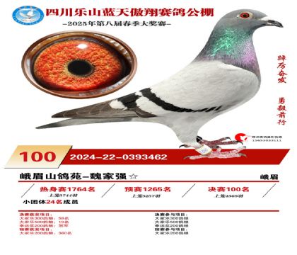 四川藍(lán)天傲翔決賽100名