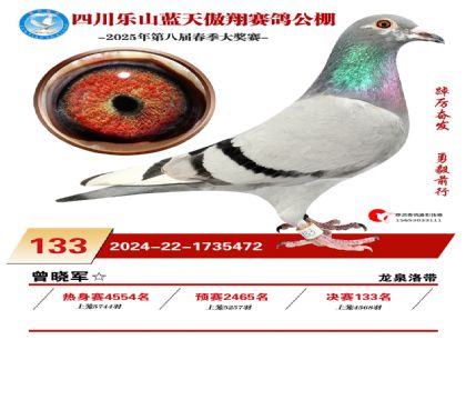 Ĵ{(ln)Qِ133