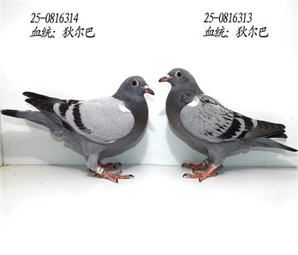 Ҡ 25һ(du)