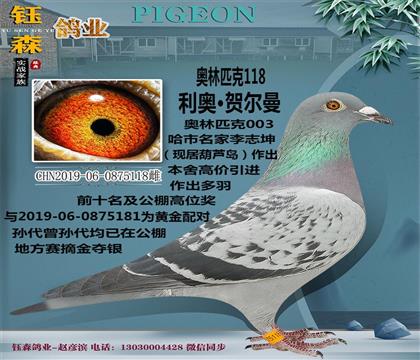 W-S䌦(du)Ů