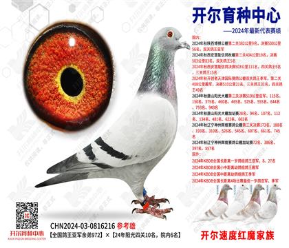 ȫ܊H97224ꖹP(gun)10Ժ(ni)6