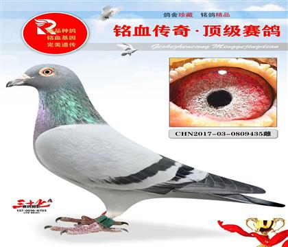 ĸ93҄500093