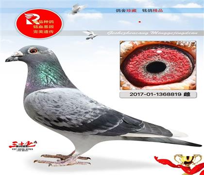 6000ֱ̖Ů