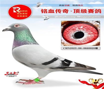 ٶ֮Sw؄e