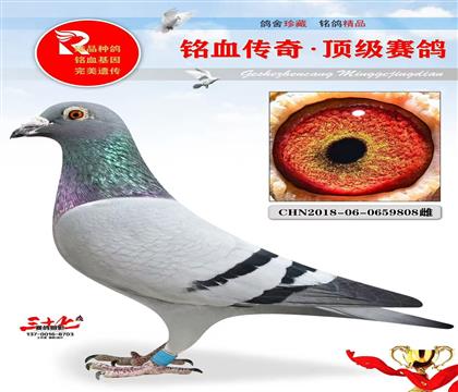 007ֱӡL(zhng)ǽĸ