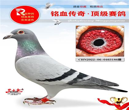 Oټ塢ֲ
