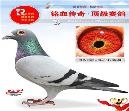 _(ki)վِ4