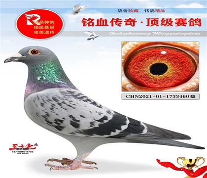 L(zhng)100f(wn)ֱc(din)