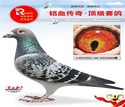 ۿ888̖(ho)