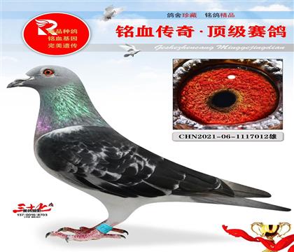 Ͽ񡢹(zhun)(xin)