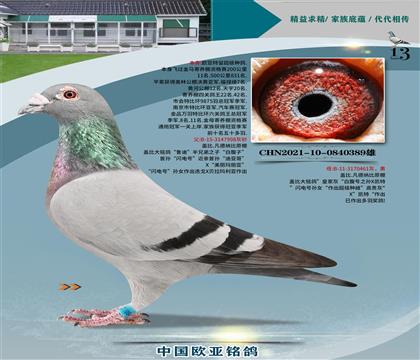 w?sh)?98xʼһֱŮ461