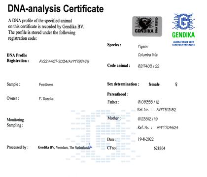 DNA