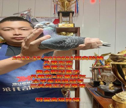 S䌦ֱx»ؠ߼N