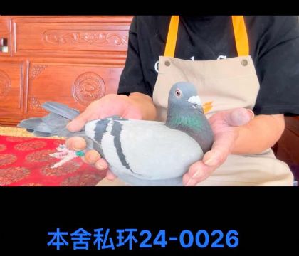 ˽h(hun)ֱ̹O0026