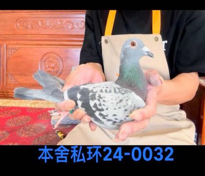 ˽h(hun)С900ֱOŮ0032