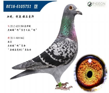 利奧賀爾曼斯楊直子配直女近親回血