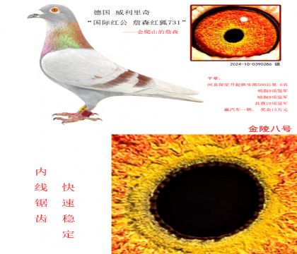 3(gu) 桰(gu)Ht ղɭt731