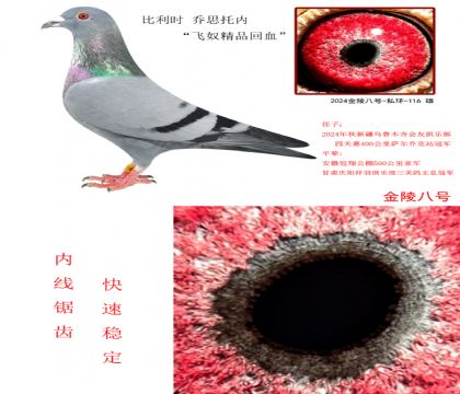 4r(sh) ˼Ѓ(ni)wūƷѪ