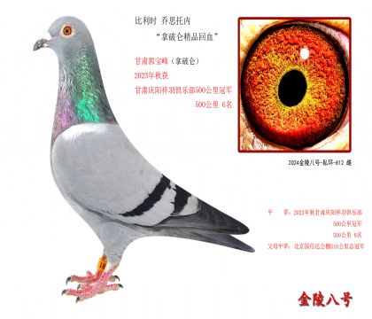 8r(sh) ˼Ѓ(ni)ƁƷѪ