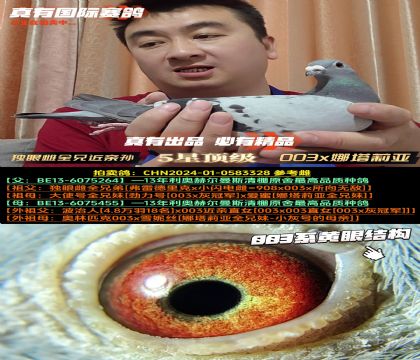 (d)۴ȫֵܽHֱO003x򁆽H