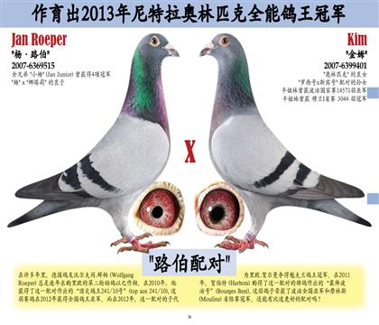 ·S䌦(du)