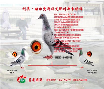 游