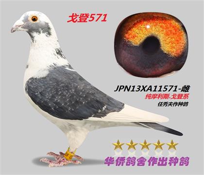 ĸĦ˹.ϵ