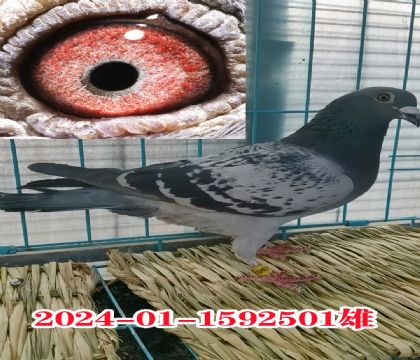 (lin)49 30065  300Ԫرȭh(hun)
