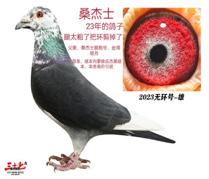 ɣʿ