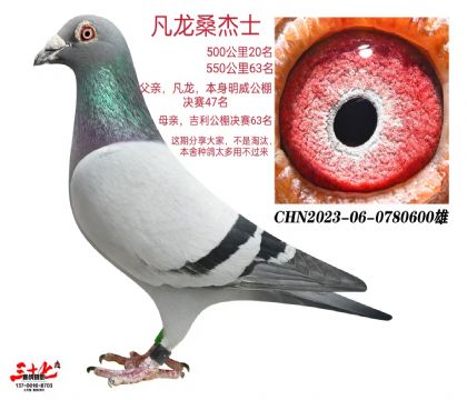 ɣʿ