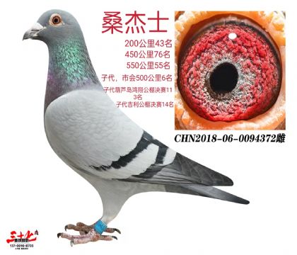 ɣʿ