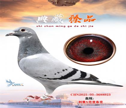 Ͽ.ǲˡؠ塱