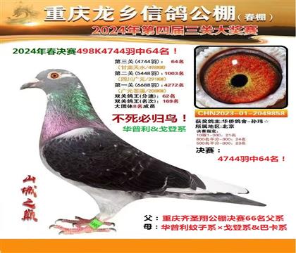 ֱϵؑc24괺Qِ64