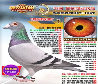 H蹫܊