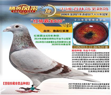 游3f܊
