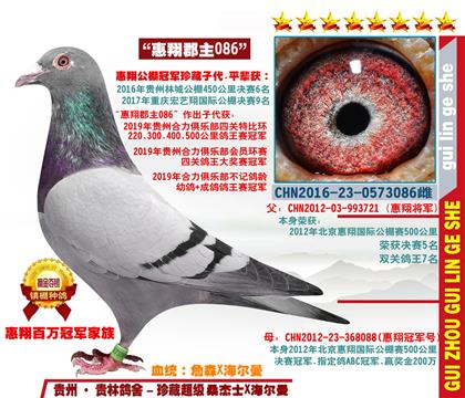 ĸ蹫܊ֱŮ