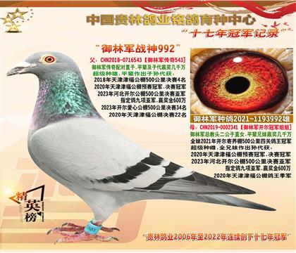 ܊䌦N