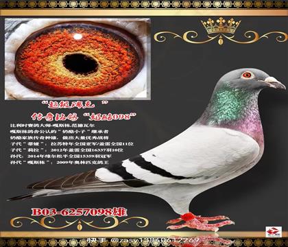 游098