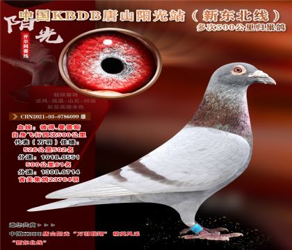 0-CHN2021-03-0786099 