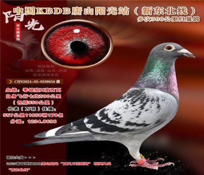 1 CHN2024-03-0599658 