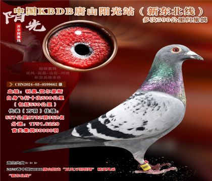 2 CHN2024-03-0599662 