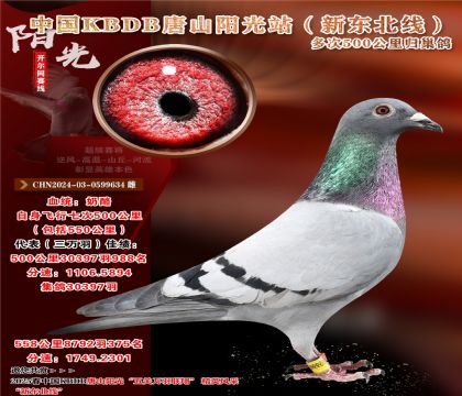 3 CHN2024-03-0599634 
